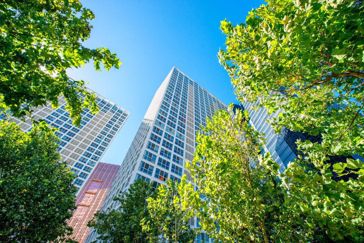 Modern office buildings surrounded by green trees under a blue sky, symbolizing sustainable urban real estate