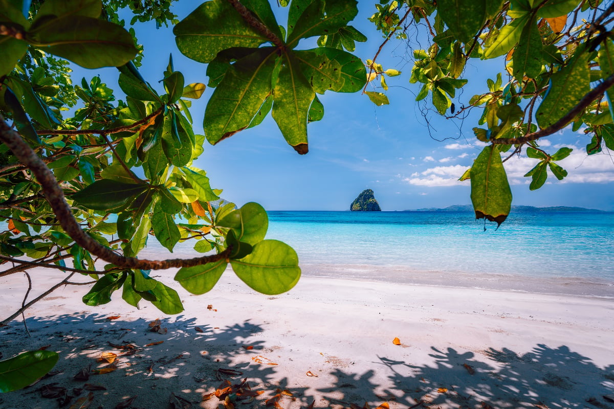 Tropical beach surrounded by lush vegetation symbolizing portfolio diversification and resilience in a changing market environment
