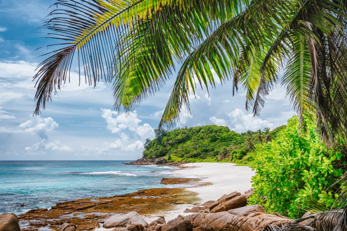 Tropical coastline illustrating diversification and resilience in alternative investment strategies