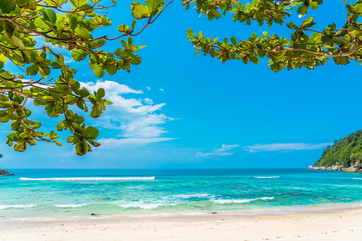 Tropical beach with clear blue water symbolizing improved market outlook and equity investment opportunities