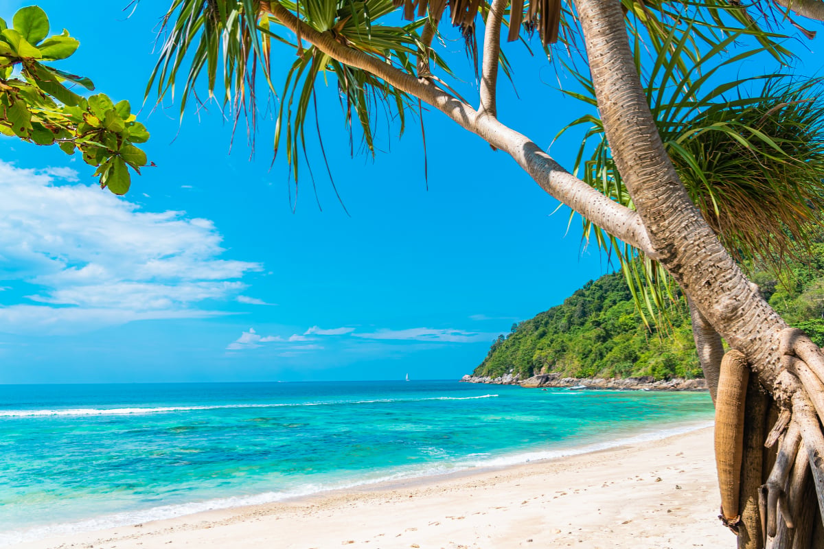 Calm tropical coastline illustrating stability and opportunities in euro investment grade bonds
