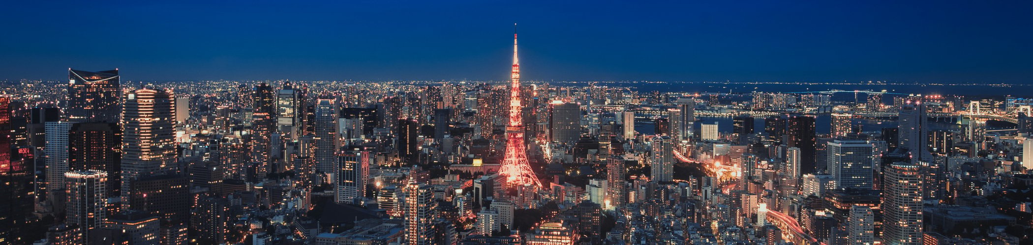 Tokyo skyline at night with Tokyo Tower illuminated, illustrating the Japanese metropolis and urban dynamism