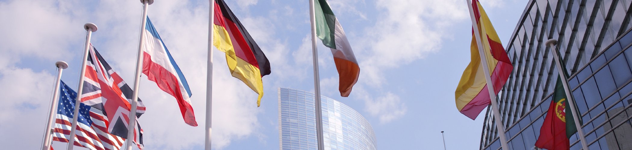 European flags including Germany, France and Ireland in front of a modern skyscraper, illustrating the European economy and international cooperation