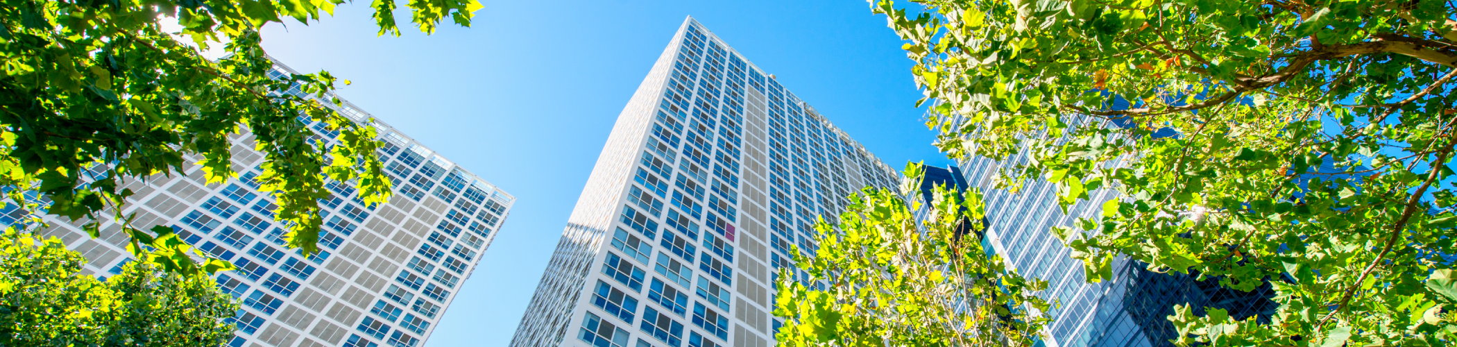 Modern office buildings surrounded by green trees under a blue sky, symbolizing sustainable urban real estate