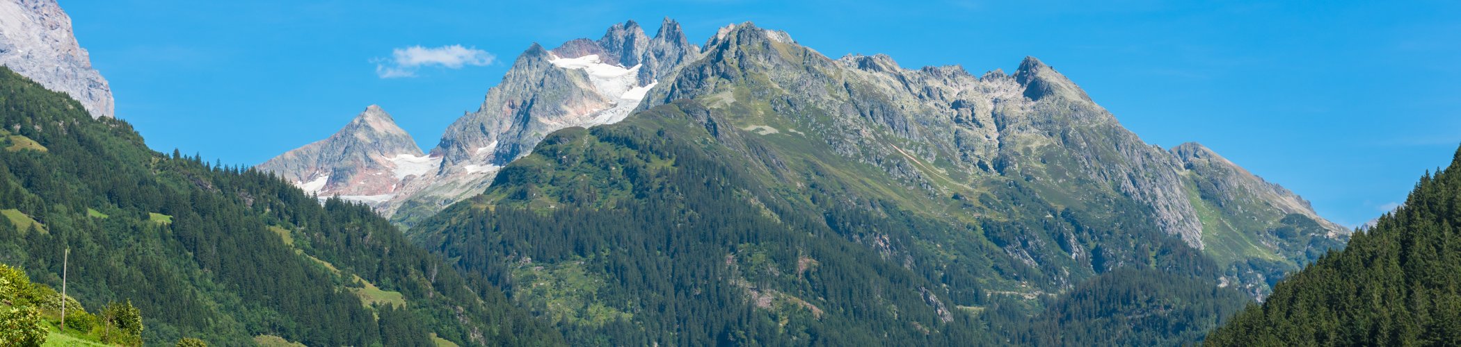 A winding country road curves through lush green hills toward a dramatic mountain range with rocky peaks and patches of snow. Dense forests cover the slopes beneath a clear blue sky.