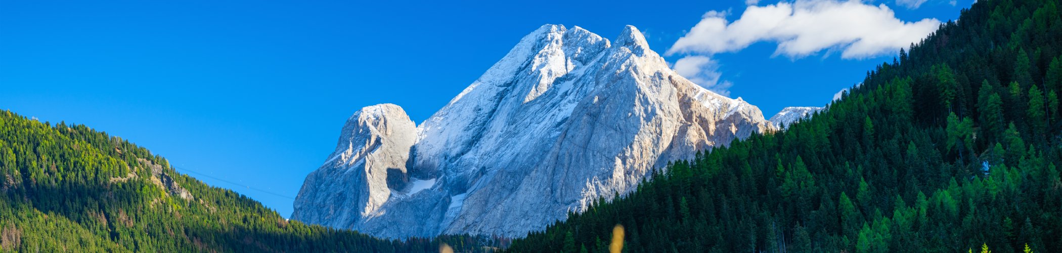 Snow-capped mountain peak rises above evergreen forests and alpine meadows beneath a clear blue sky.