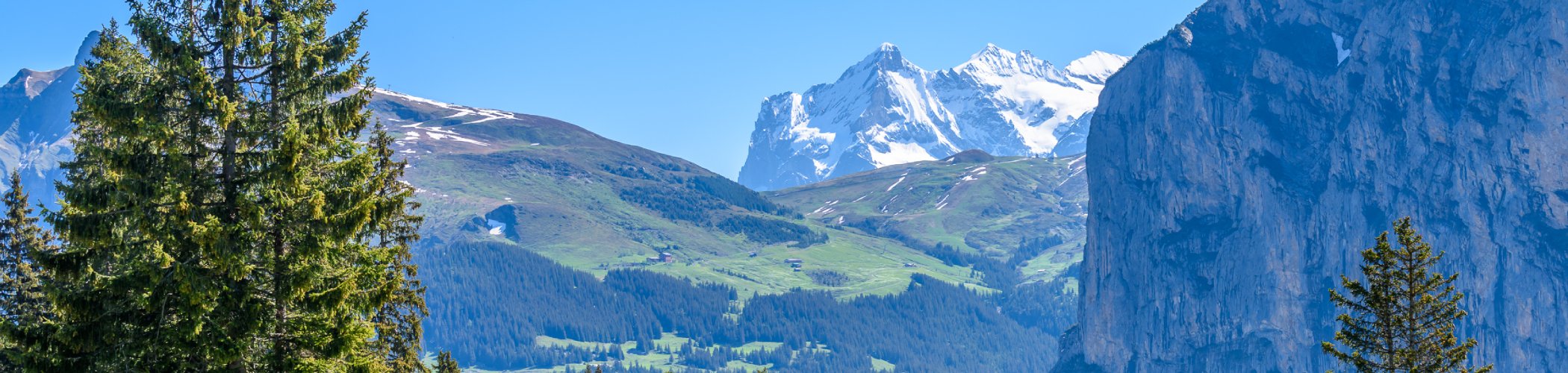 Snow-capped peaks rise above evergreen forests and green alpine slopes beneath a cloudless blue sky.