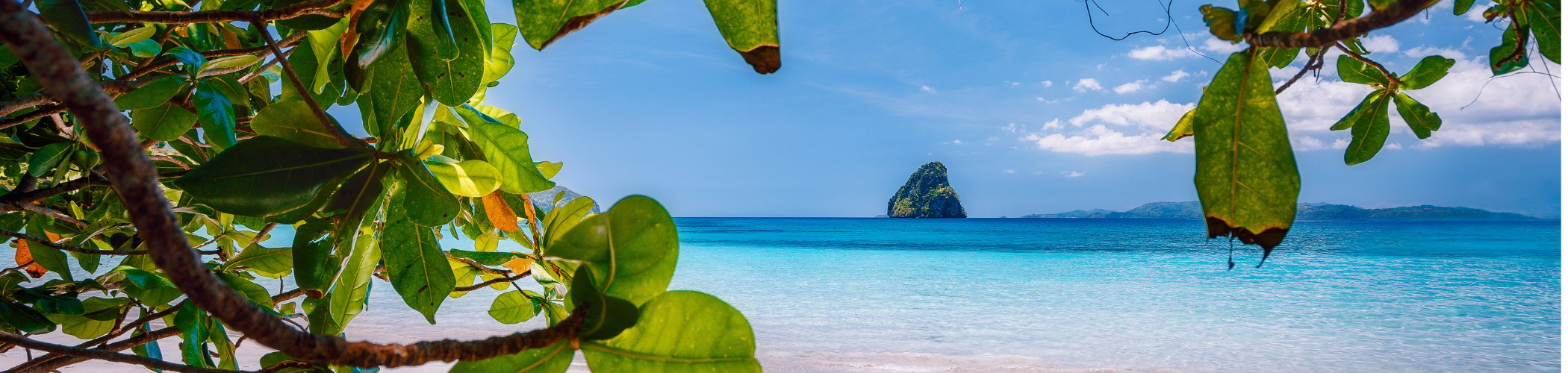 Tropical beach surrounded by lush vegetation symbolizing portfolio diversification and resilience in a changing market environment