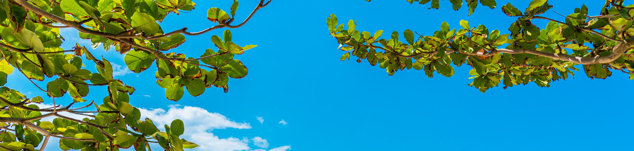 Tropical beach with clear blue water symbolizing improved market outlook and equity investment opportunities
