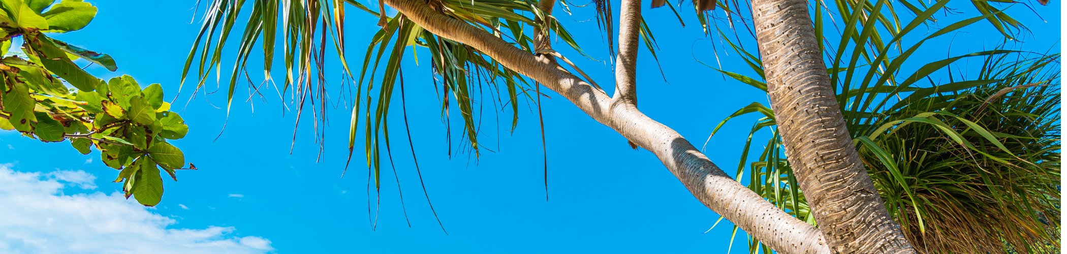 Calm tropical coastline illustrating stability and opportunities in euro investment grade bonds