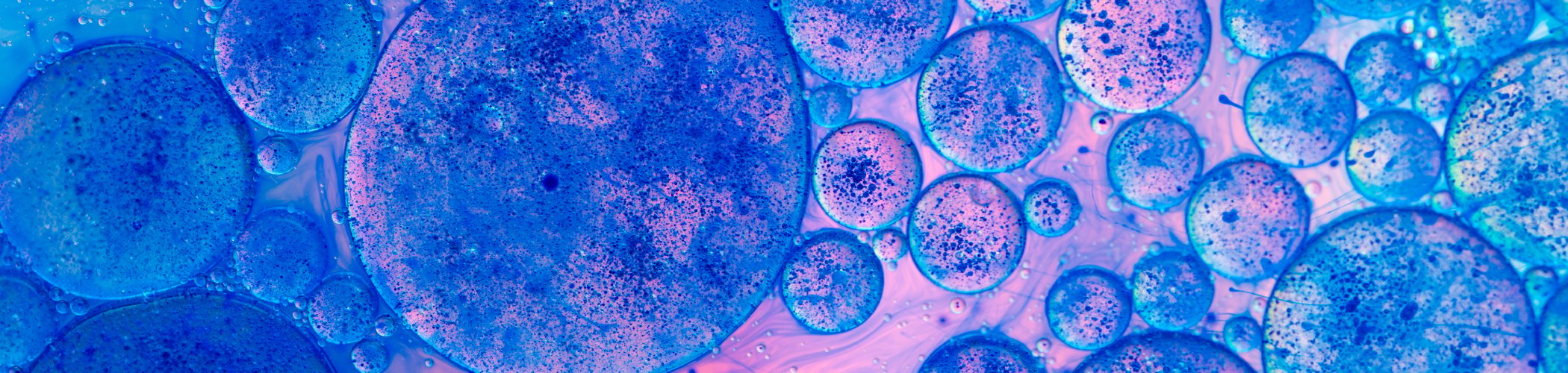Abstract close‑up of blue and purple circular shapes resembling fluid bubbles under a microscope.

