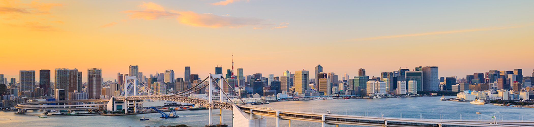 View of Tokyo with the Rainbow Bridge and skyline at sunset, illustrating the Japanese metropolis and its economic dynamism
