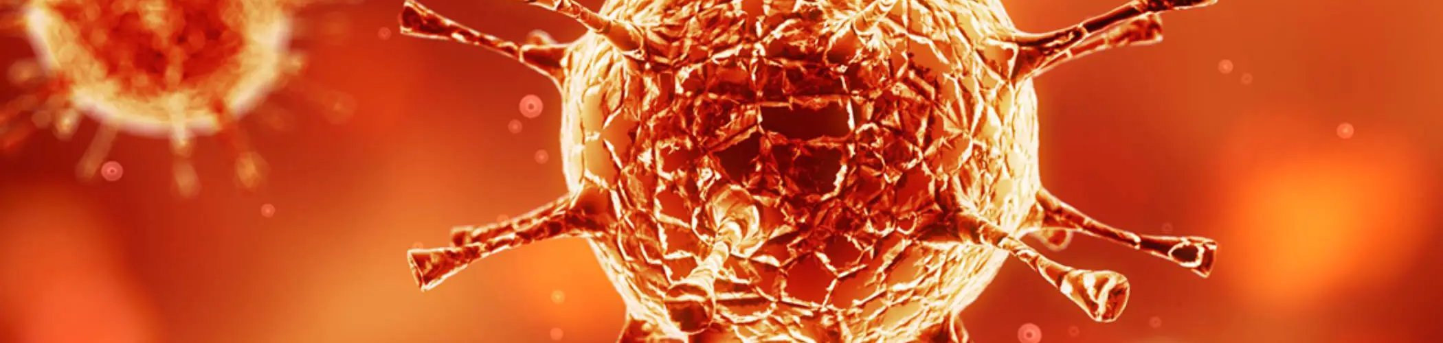 3D illustration of a coronavirus‑type virus with spherical structure and spike proteins, representing viral infection and pandemic
