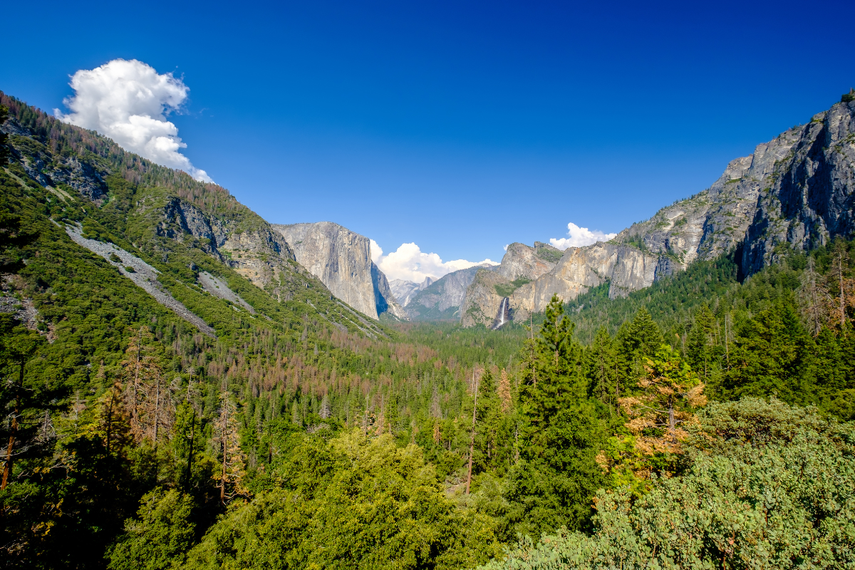 Alternatives remain solid through momentum shift