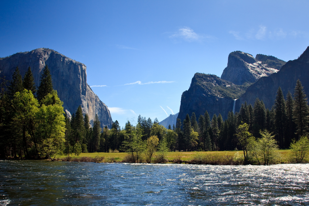 Constructive start to the year