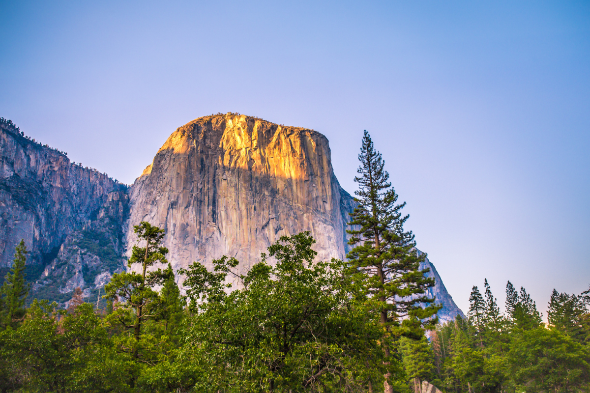 Macro backdrop remaining broadly resilient