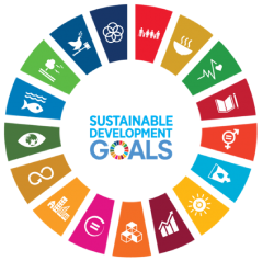 sdgs_small.png
