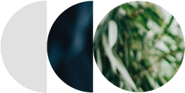 AtAGlance.png