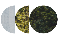 Key figures watermark